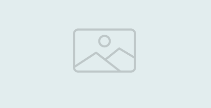 Tenha resultados para seu escritório com um site contábil